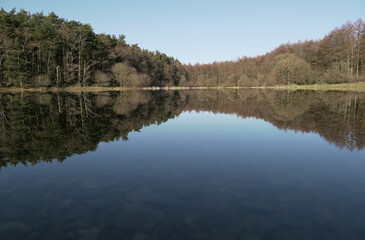 Fototapeta na wymiar reflection in the water, forest, blue sky, lake, landscape, nature, mirror