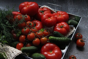 vegetable tray, various kinds of tomatoes, small fresh cucumbers and dill, green and red vegetables