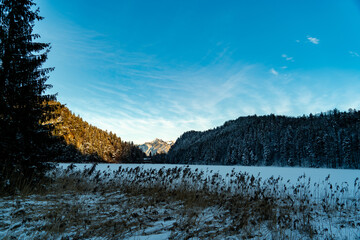 Winterlandschaft am Alatsee