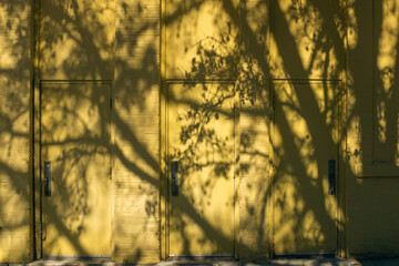 Tree shadow on a yellow building