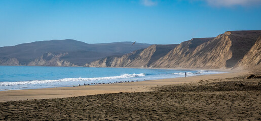 View of the  Pacific Coast shoreline of Drakes Beach, at the Point Reyes National Seashore, in Northern California.