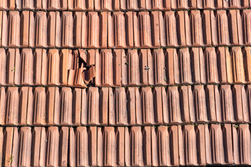 old tiles on the building roof, broken tile
