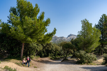 deux personnes  sur un chemin de randonnée au milieu des pins méditerranéens