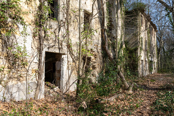 Fototapeta na wymiar deux maisons abandonnées en plein milieu des bois en automne 