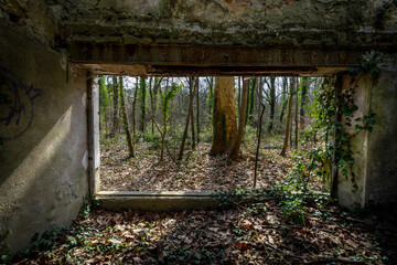 une forêt vue à travers le cadre d'une fenêtre d'une bâtiment en ruine 