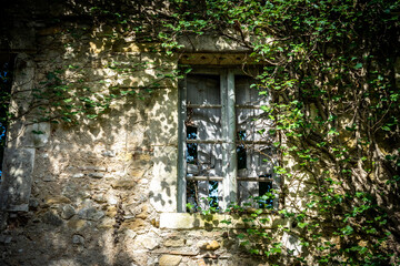 Fototapeta na wymiar la fenêtre d'une maison sous une la végétation