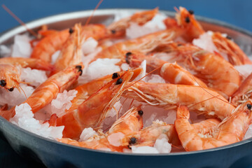 Raw red shrimps on ice