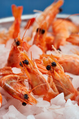 Raw red shrimps on ice