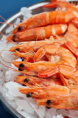 Raw red shrimps on ice