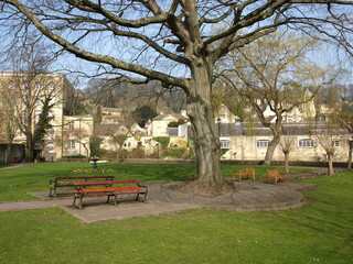 bench in the park