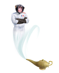 génie, chimpanzé, servir, magie, lampe d'aladin, bleu, restauration, maitre d'hôtel, barbe blanche, présentation, sympa, oriental, mille et une nuit, content, costume, cadeau, dessin animé, drôle, joy