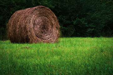 Large round bail of Hey in a green field