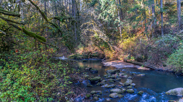 LaCamas Creek Loop and Lake, Camas, Washington