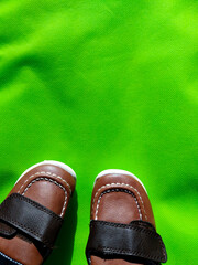 Vintage Leather Shoes on Green Background