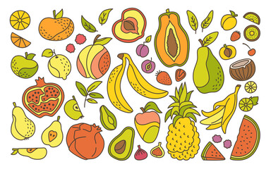 Exotic hawaiian fruit cartoon line set. Tropical fruit, pineapple blackberry pear watermelon and tangerine. Flat vitamin apple plum apricot, fig, strawberry lemon. Isolated trendy vector illustration