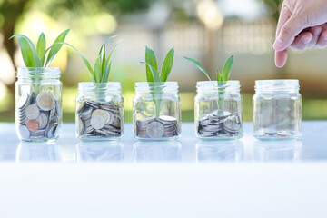 Save money with stack money coin for growing as plant your business concept