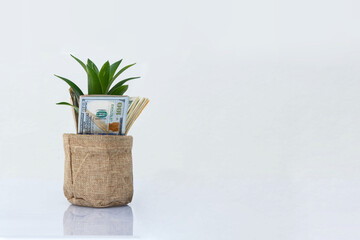 mage of bank note with plant growing on top for business, saving, growth, economic concept