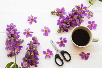 hot coffee espresso with purple flowers in spring season arrangement flat lay style on background...