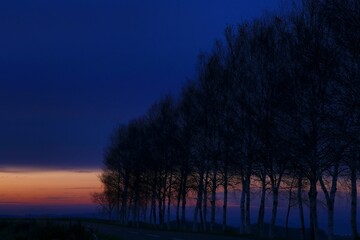 Fototapeta premium 夕日のシルエット