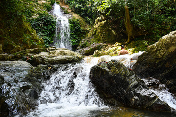 waterfall in the forest