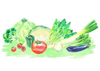 水彩で描いたいろいろな野菜のイラスト