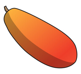 papaya vector illustration,isolated on white background,fruits top view