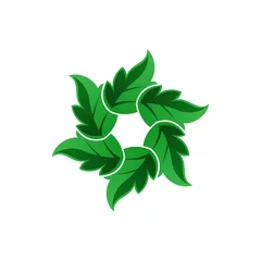 Photo sur Plexiglas Monstera leaves vector logo. leaves illustration. nature logo. eco green symbol sign.
