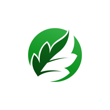 leaves vector logo. leaves illustration. nature logo. eco green symbol sign.