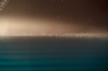 Fototapeta premium マクロ写真