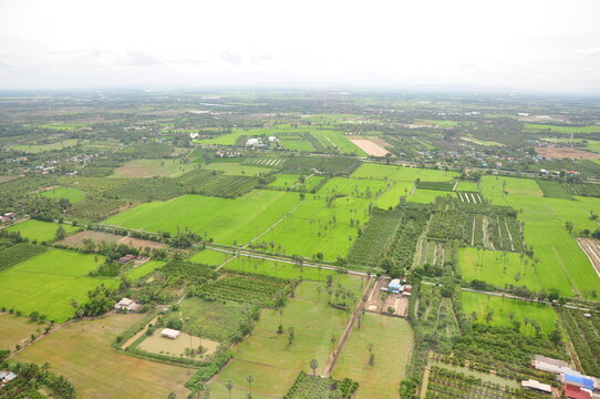 Rice field tourist attractions in thailand Helicopter photos