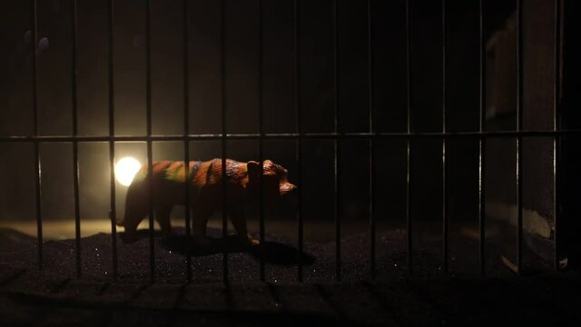 Silhouette of a tiger miniature standing in a zoo cage dreams of freedom. Creative decoration with colorful backlight with fog. Selective focus