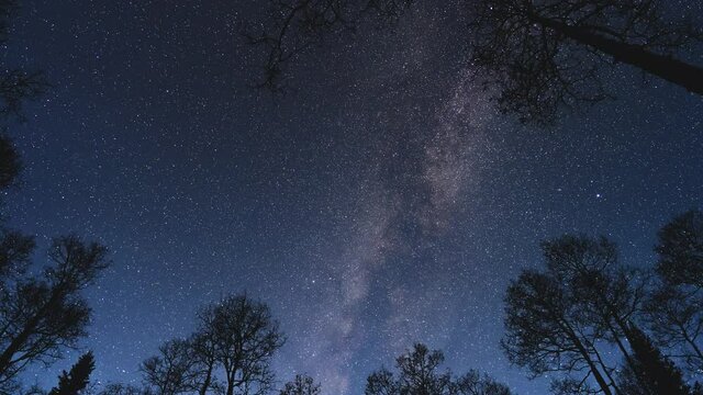 Milky Way Sky Time-lapse