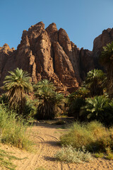 Wadi Al Disah valley views in Tabuk region of western Saudi Arabia