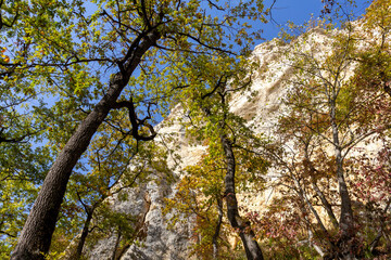 Autumn nature walks along a mountain canyon on a warm autumn day, along a difficult route.