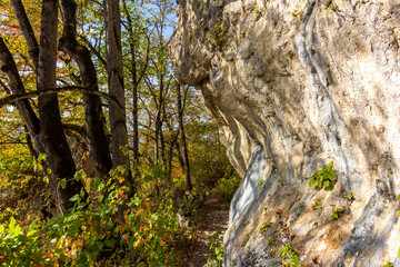 Autumn nature walks along a mountain canyon on a warm autumn day, along a difficult route.