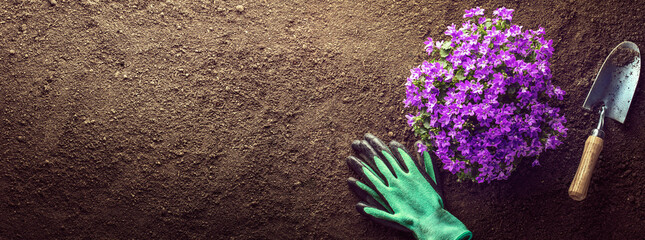 planting flower