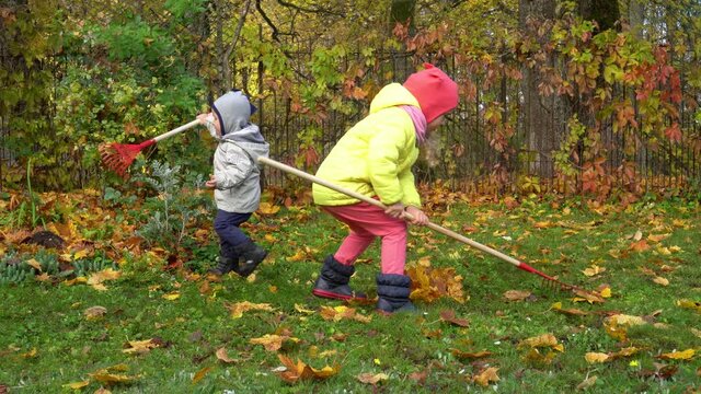 Little children raking leaves in garden on an Autumn day. Gimbal motion