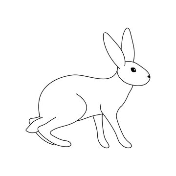 Vector illustration of a standing rabbit. Black outline of a hare on a white background. Doodle Style.