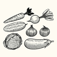 Realistic hand drawn vegetable