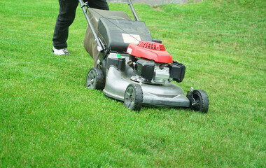 Fototapeta premium outdoor worker working on mowing the lawn