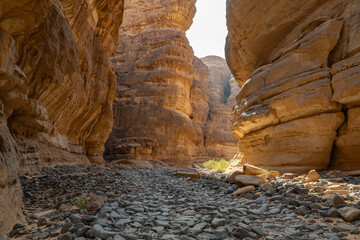 Sneak Canyon geological outcrop formations at ancient oasis ﻿﻿of Al Ula, Saudi Arabia