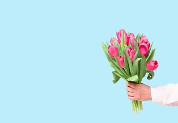 Bunch bouquet of pink tulips in female hand on blue. Banner with copy space, Birthday gift. Valentines 8 March Women's or Mothers Day celebration greeting card floral. Spring