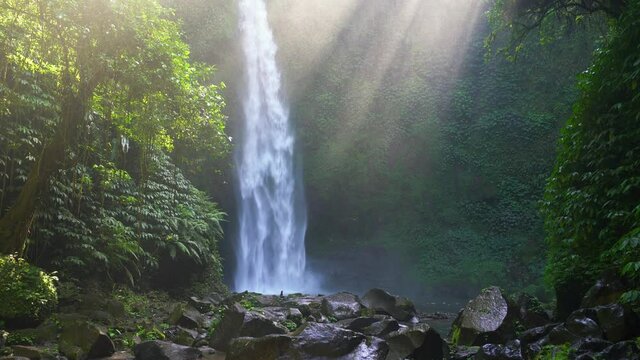 Amazing waterfall hidden in tropical rainforest jungle in the rays of the rising sun. Beautiful nature background. 4K UHD. Video Clip