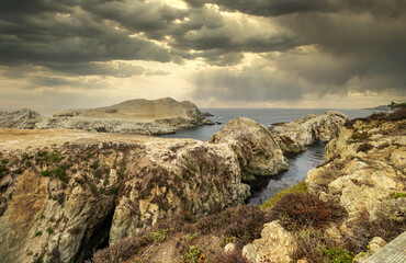 Beautiful landscape, view rocky Pacific Ocean coast at Point Lobos State Reserve in Carmel,...