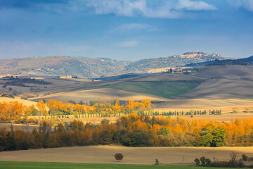 Fototapeta na wymiar Autumn Sunny Tuscany landscape, Pienza