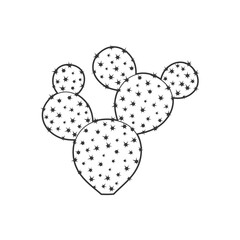 Outline cactus and succulent plant vector illustration. Decorative isolated icon. Cartoon style doodle.