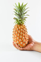 hand holding pineapple isolated on a white background.