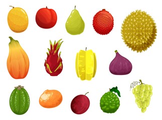 Fruits vector icons melon, peach, pear and lychee, durian or papaya with lime, plum or dragon fruit. Carambola, fig or pitaya, lychee and mandarin with grape garden or tropic exotic tropical fruit set