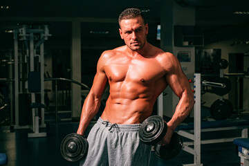 Fototapeta na wymiar Bodybuilder training with dumbbells. Sportsman with naked torso. Sporty workout. Athletic body.