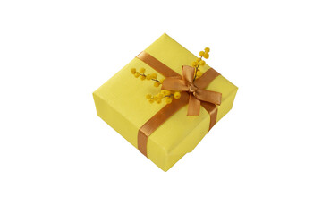 Spring holidays gift box with ribbon bow and mimosa flowers isolated on white.